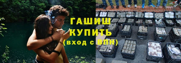 прущие грибы Михайловка