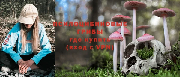 не бодяженный Медвежьегорск