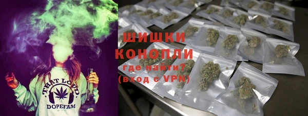 молекула духа Медногорск