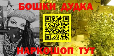 индика Апрелевка
