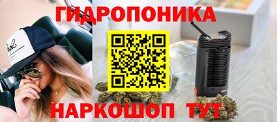 крисы Аргун