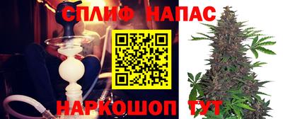 крисы Аргун