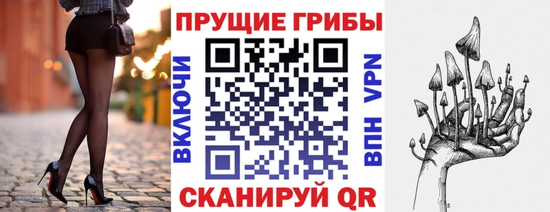 где купить   Астрахань  Псилоцибиновые грибы прущие грибы 
