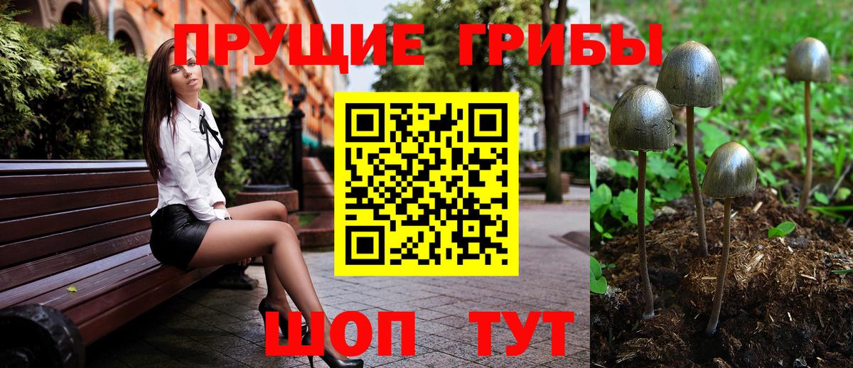 Псилоцибиновые грибы GOLDEN TEACHER  купить наркоту  Астрахань  Вход с VPN 