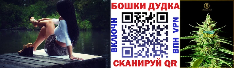 кракен как войти  как найти наркотики  Астрахань  МАРИХУАНА Ganja 